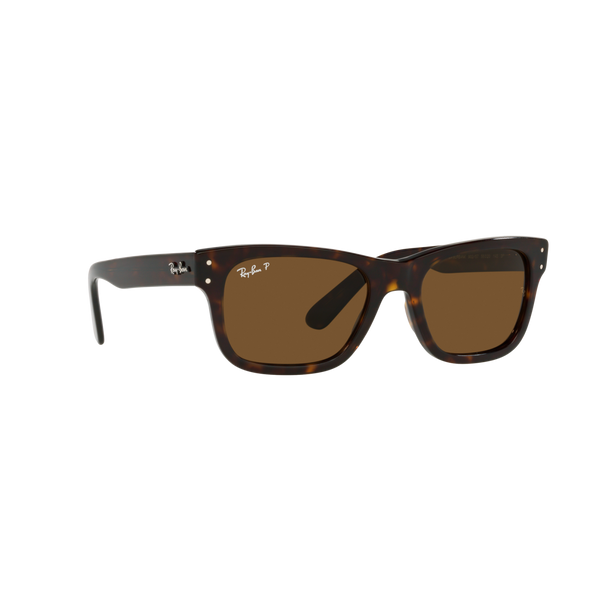 Ray Ban MR BURBANK RB2283 Havana Men's Polarized Sunglasses