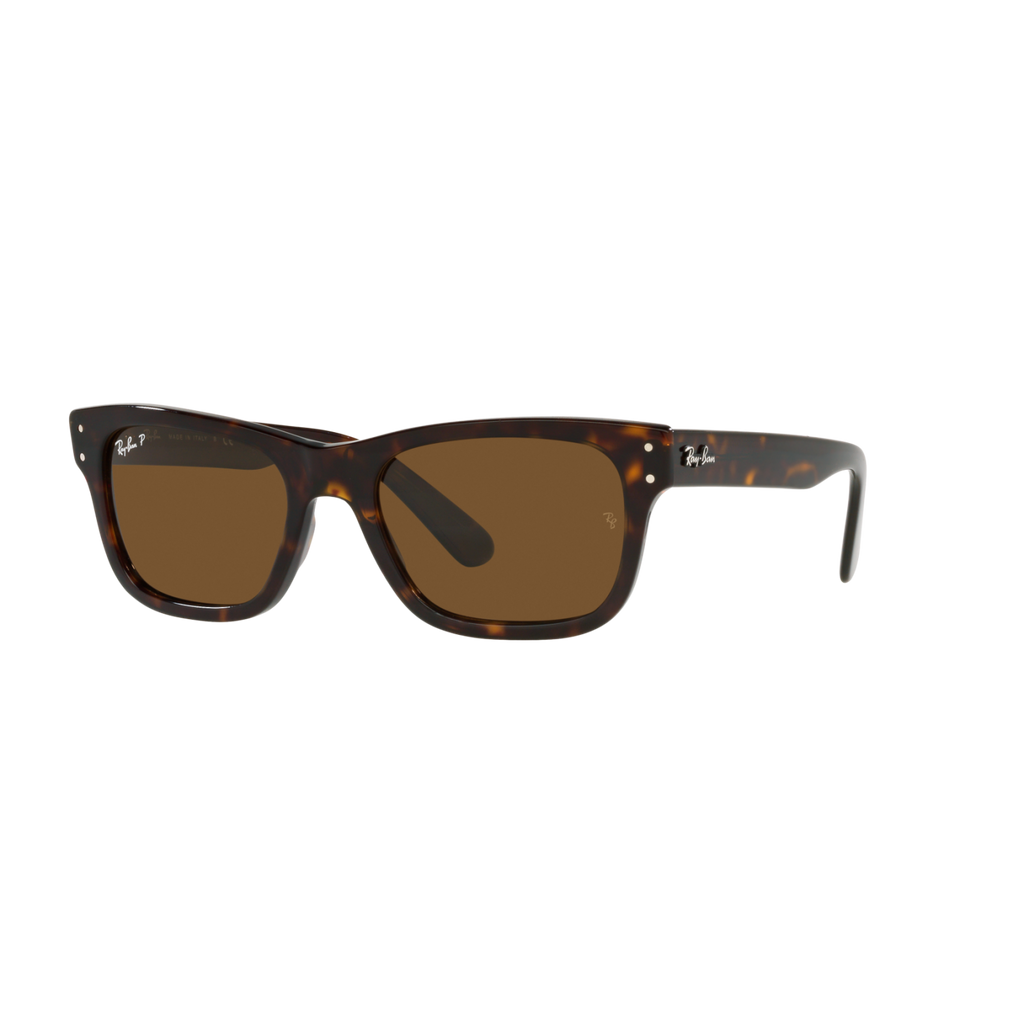 Ray Ban MR BURBANK RB2283 Havana Men's Polarized Sunglasses