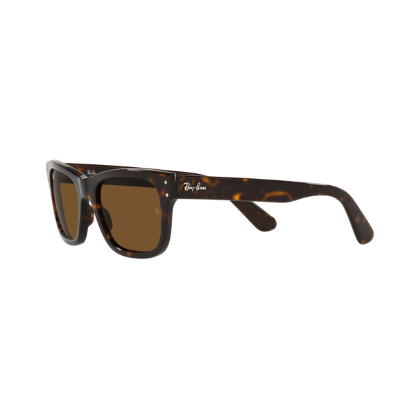 Ray Ban MR BURBANK RB2283 Havana Men's Polarized Sunglasses
