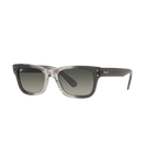Ray Ban MR BURBANK RB2283F Grey Men's Sunglasses