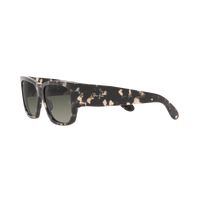 Ray Ban WAYFARER NOMAD RB2187 Havana Unisex Sunglasses