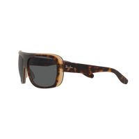 Ray Ban BLAIR RB2196 Havana Unisex Sunglasses