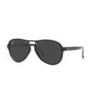 Ray Ban VAGABOND RB4355 Black Unisex Polarized Sunglasses