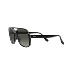 Ray Ban POWDERHORN RB4357 Black Unisex Sunglasses