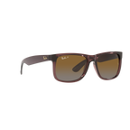 Ray Ban JUSTIN RB4165 Brown Men's Polarized Sunglasses