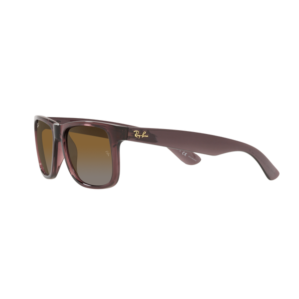 Ray Ban JUSTIN RB4165 Brown Men's Polarized Sunglasses