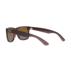 Ray Ban JUSTIN RB4165 Brown Men's Polarized Sunglasses