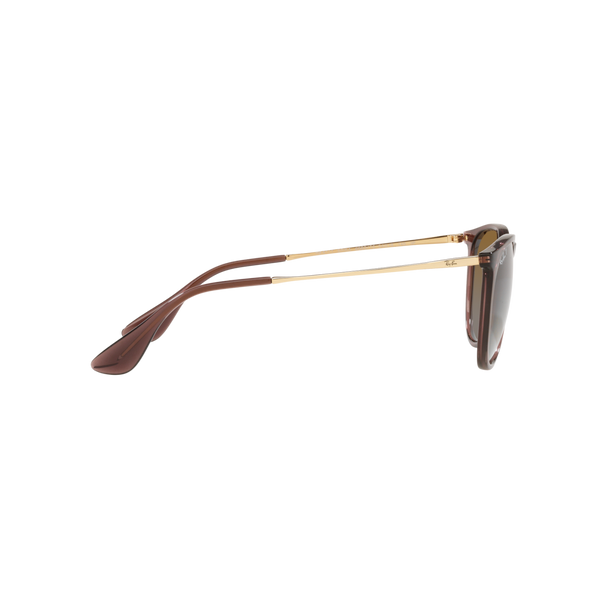 Ray Ban ERIKA RB4171 Brown Women's Polarized Sunglasses