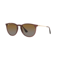 Ray Ban ERIKA RB4171 Brown Women's Polarized Sunglasses