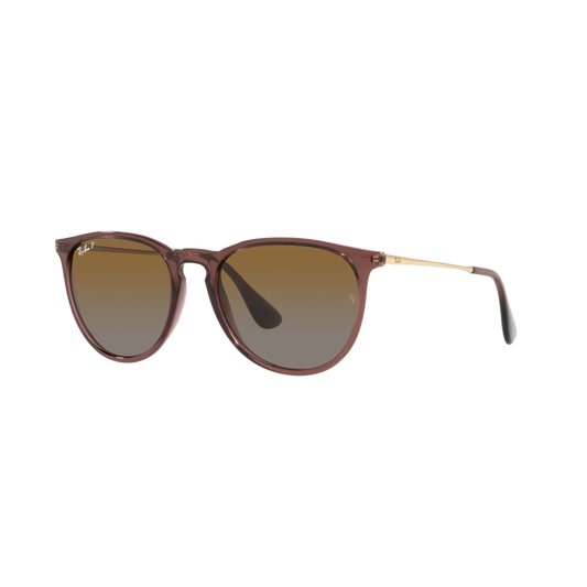 Ray Ban ERIKA RB4171 Brown Women's Polarized Sunglasses