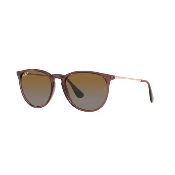 Ray Ban ERIKA RB4171 Brown Women's Polarized Sunglasses