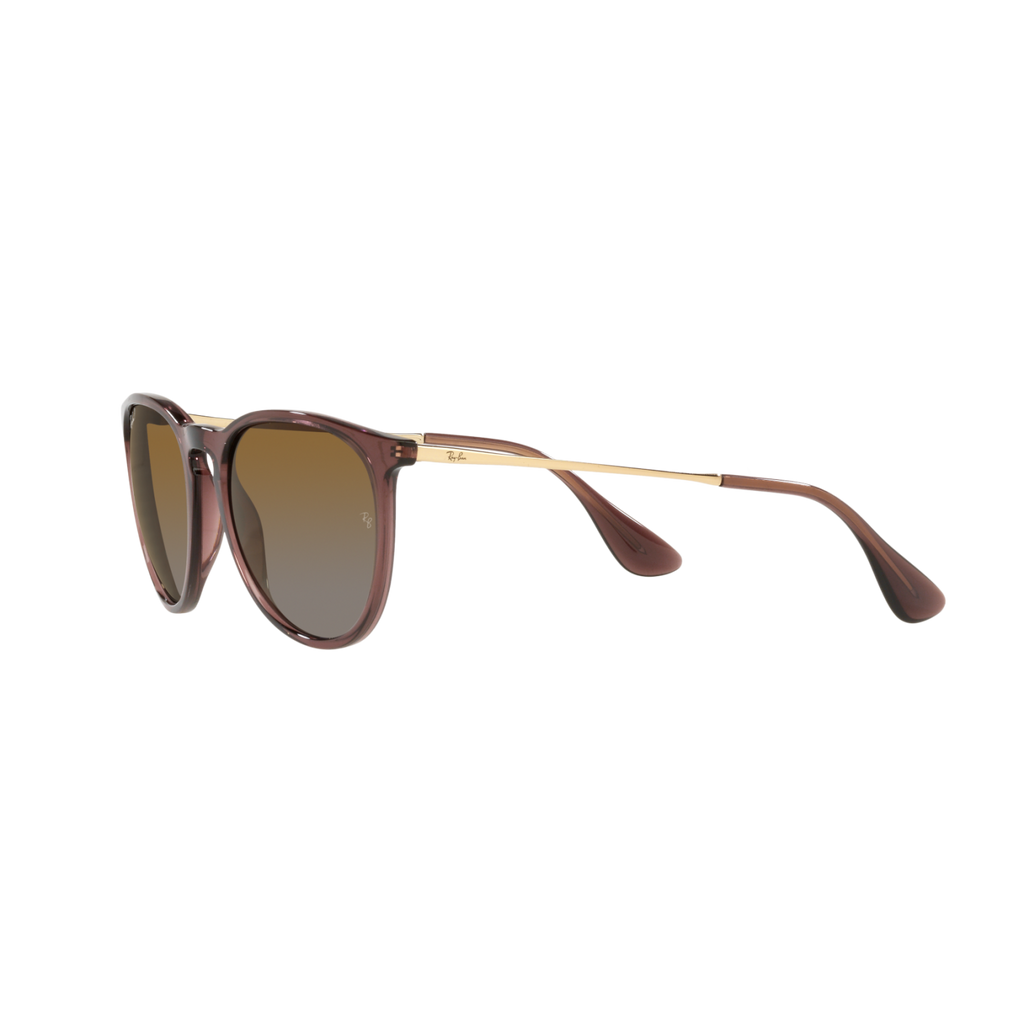 Ray Ban ERIKA RB4171 Brown Women's Polarized Sunglasses