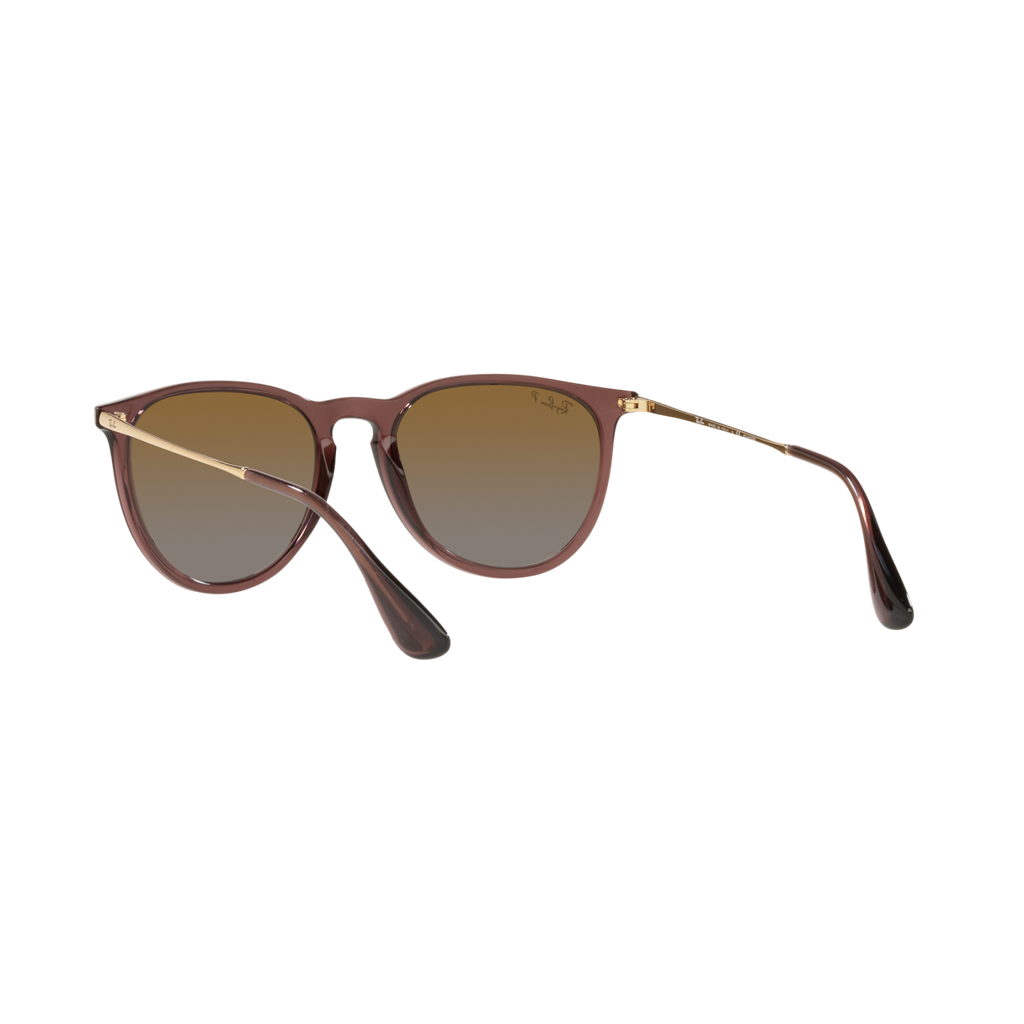 Ray Ban ERIKA RB4171 Brown Women's Polarized Sunglasses
