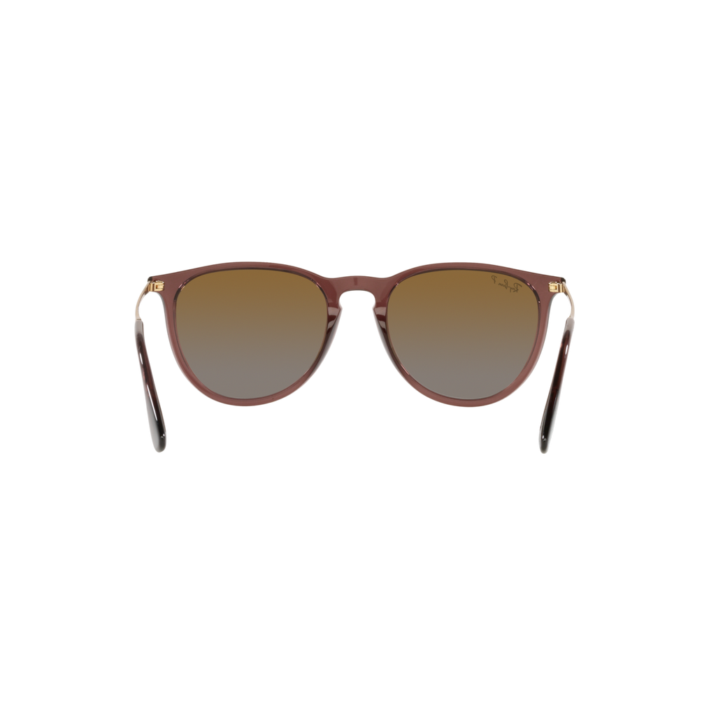 Ray Ban ERIKA RB4171 Brown Women's Polarized Sunglasses