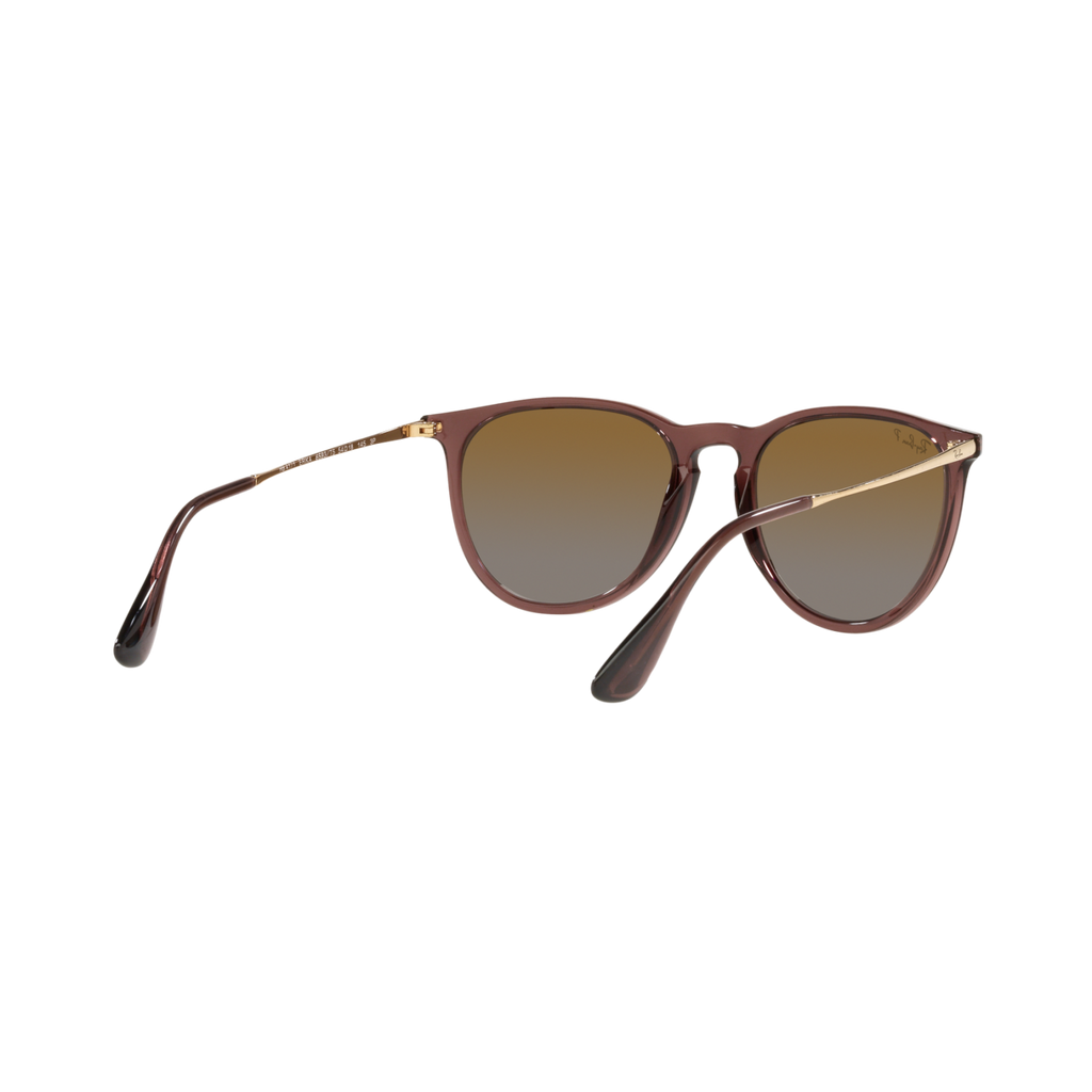Ray Ban ERIKA RB4171 Brown Women's Polarized Sunglasses
