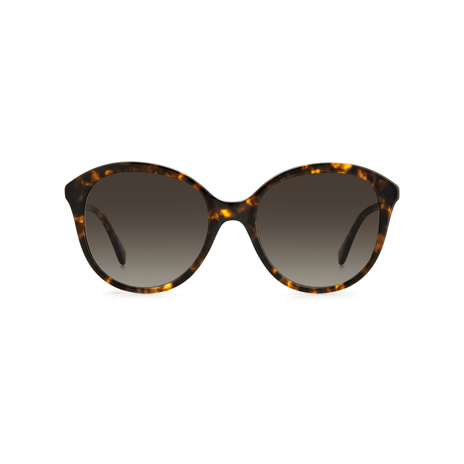 Kate Spade BRIA/G/S Brown Havana Women's Sunglasses