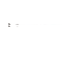 Oakley PLAZMA OO9019 Black Unisex Polarized Sunglasses