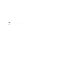 Oakley COHORT OO9301 Red Unisex Polarized Sunglasses